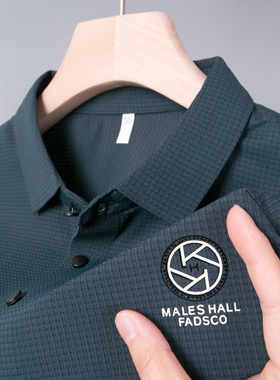 男士短袖T恤冰丝爸爸夏装polo衫poor丅血poli体桖plol土poiot上衣