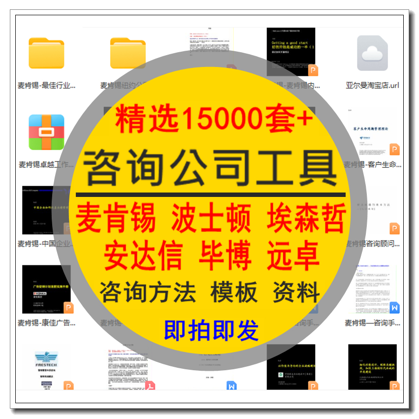 咨询公司工具企业管理制度方法案例人力资源顾问波士顿麦肯锡资料