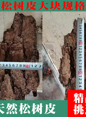 原生态装饰摆设咏林天然松树皮