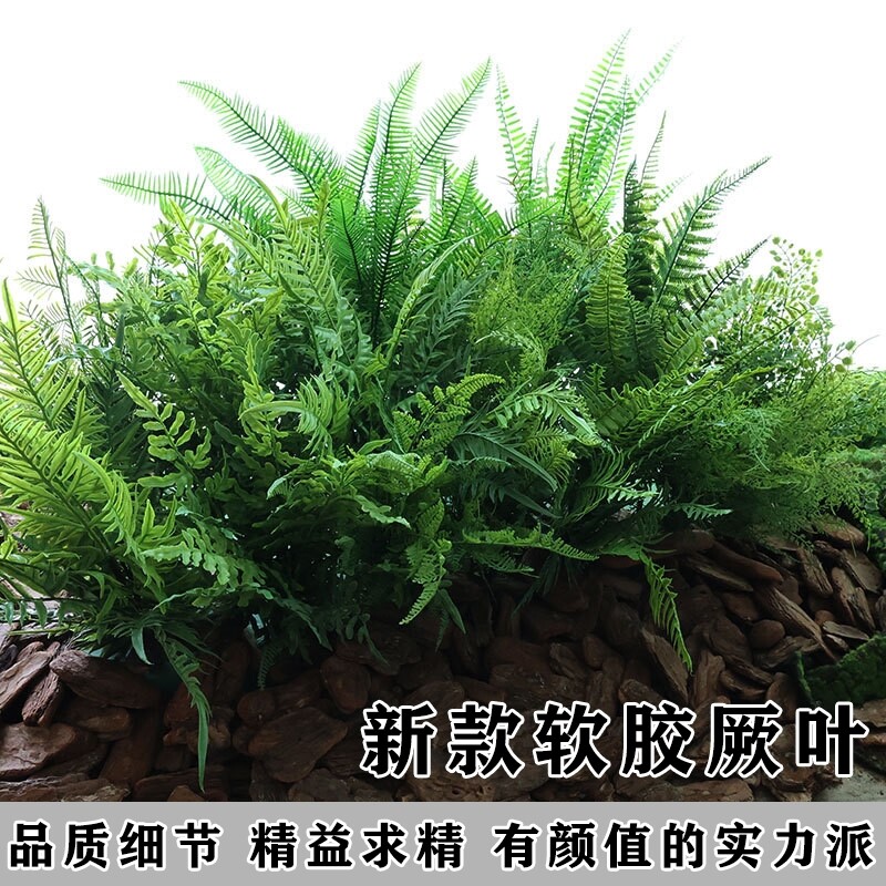 仿真手感蕨类植物波斯草蕨草插地造景装饰小绿植植物墙配材造景
