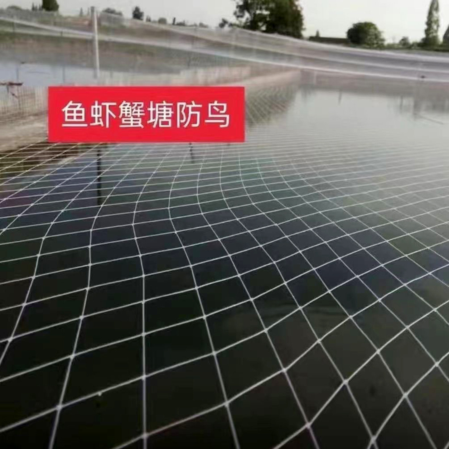 尼龙防鸟网果园鱼塘大棚隔离围网