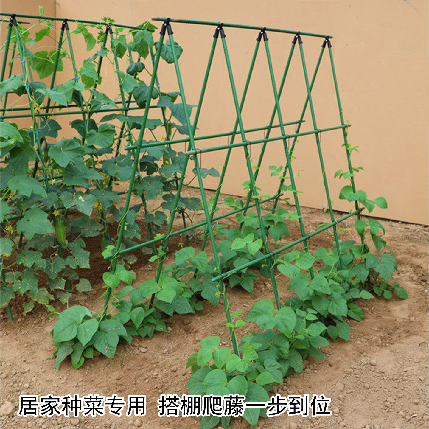 包塑钢管庭院爬藤支撑架稳固耐用