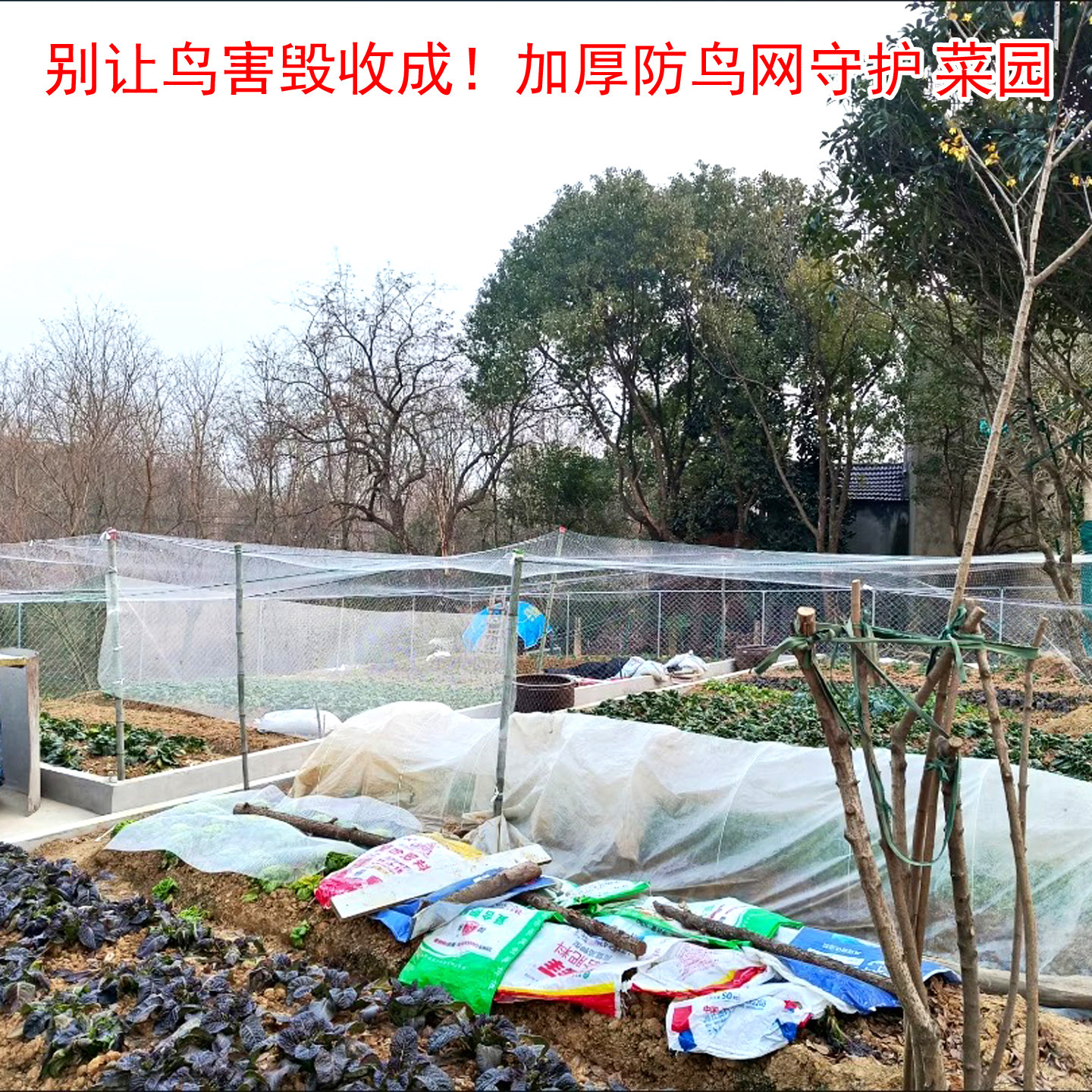 加粗尼龙防鸟网果园大棚鱼塘