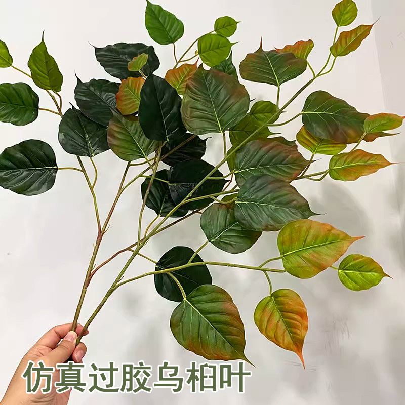 仿真菩提树叶乌桕叶榉树叶秋色过胶树叶真树工程造景装饰假树叶