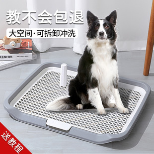 狗狗尿垫托盘厕所宠物定点尿盆泰迪中小型犬专用比熊尿垫便盆托盘