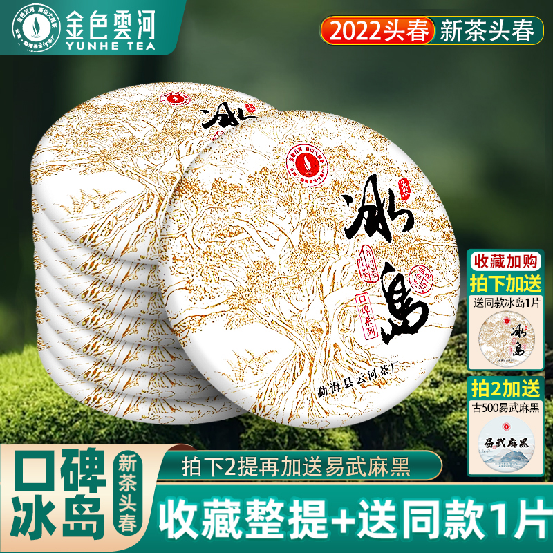 冰岛普洱生茶新茶云南七子古树茶