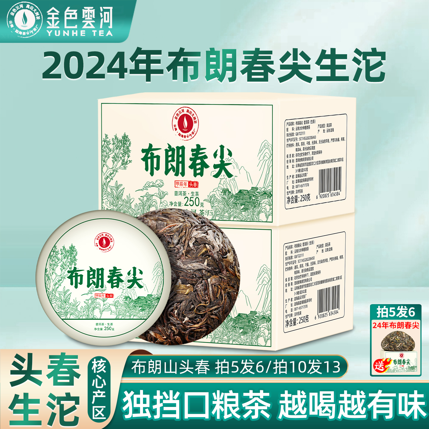 金色云河2024布朗春尖古树沱茶