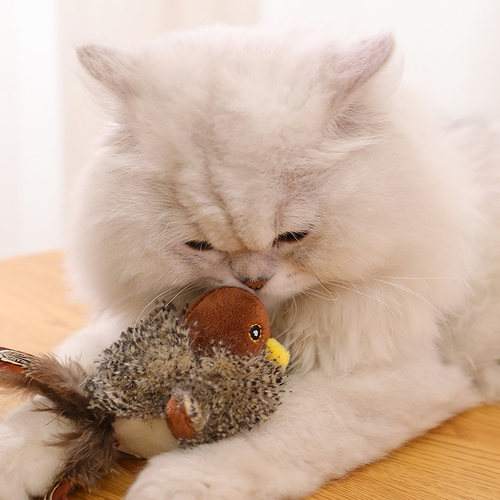 GiGwi贵为仿真小鸟小猫玩具逗猫