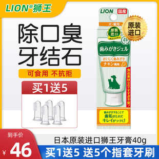 日本狮王牙刷牙膏套装 宠物狗狗猫咪可食用除口臭去牙结石神器用品