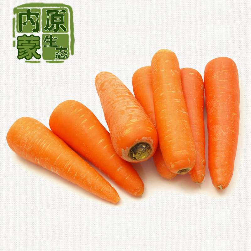 内蒙古乌素图新鲜胡萝卜甜菜根红萝卜蔬菜小人参宝宝孕妇辅食一斤