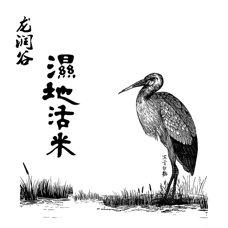 稻花香欧盟有机认证四种可选白米