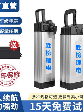 充电锂电池汽车级电芯银鱼款海霸款48v12ah20ah30ah电动车锂电池