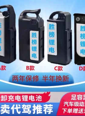 电动车锂电池汽车级别大容量充电锂电池电瓶车锂电池48v10ah20ah