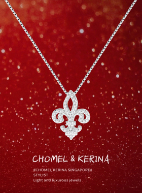 「鸢尾花」s999纯银项链女轻奢小众高级感锁骨链送女友生日礼物