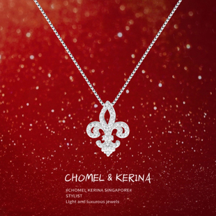 「鸢尾花」s999纯银项链女轻奢小众高级感锁骨链送女友生日礼物