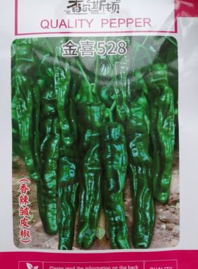金喜528薄皮超辣皱皮辣椒种子泡椒春季四季香辣特辣小皱高产