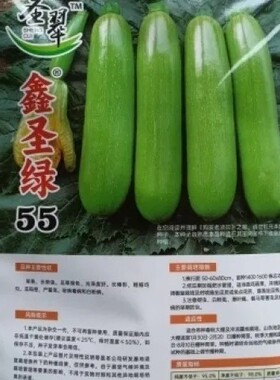 西葫芦种子早春秋延露地栽培瓜翠绿色长棒形粗细均匀早熟长势强