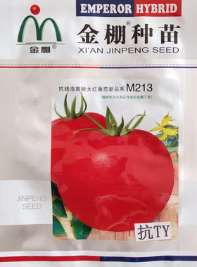 金棚M213抗线虫高秧大红番茄种子四季高产早熟红果西红柿