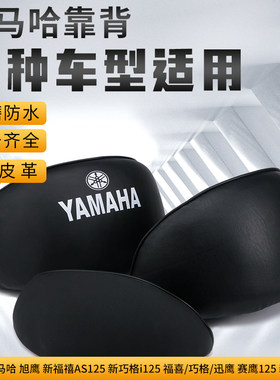Yamaha巧格i125福颖兴鹰靠背