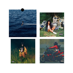 SZA专辑海报黑胶唱片cd封面卧室背景墙氛围感小众装饰画定制