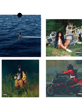 SZA专辑海报黑胶唱片cd封面卧室背景墙氛围感小众装饰画定制