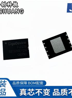 D55T01GEY2GR GD55T01GE GD55T01 封装WSON-8 闪存芯片 存储芯片