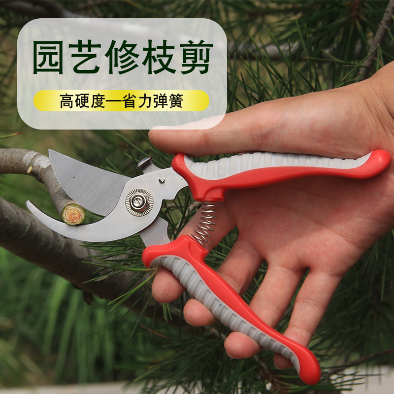 剪枝果树修枝剪刀园艺修剪树枝园林省力修花枝剪家用强力剪子