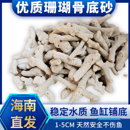 珊瑚骨过滤材料改善水质调节PH值