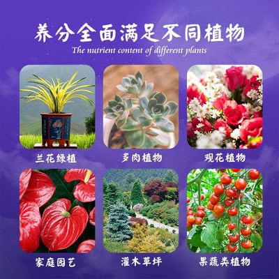 兰菌王灵兰花卉君子兰营养液肥料生根促芽绿植微生物