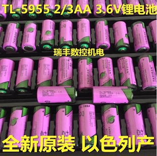 塔迪兰TL 3AA 免邮 761以色列锂电池 3.6V 费原装 4955 5955