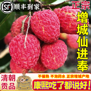 增城仙进奉荔枝超大大果新鲜现摘广东增城现摘现发礼盒装送礼顺丰