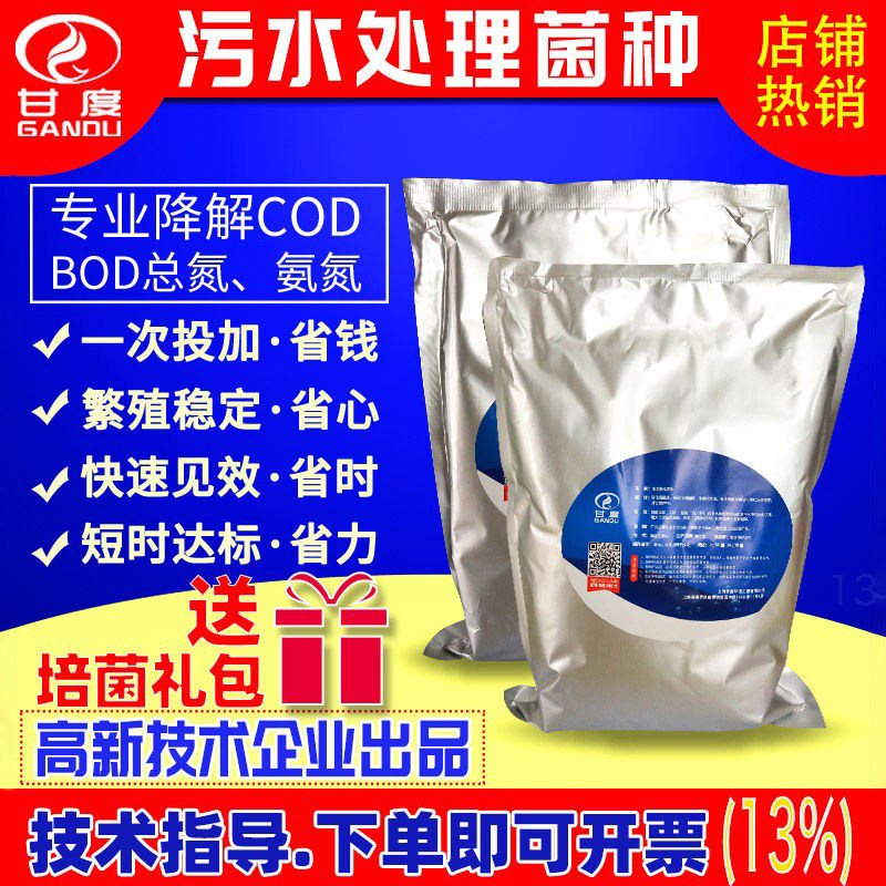 污水处理菌种 甘度复合反硝化细菌降解COD总氮氨氮好厌氧微生物菌