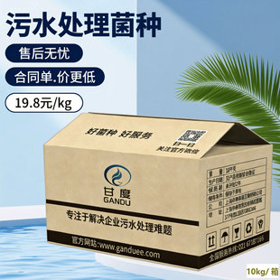 甘度污水处理菌种 好厌氧菌硝化菌复合菌曝气池降氨氮COD生物菌剂