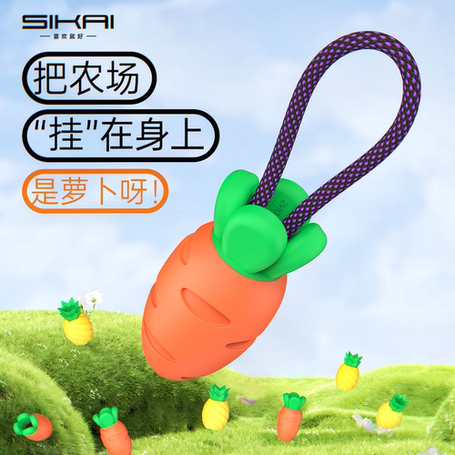 sikai 240W双头快充type-c充电线收纳器硅胶胡萝卜短线整理外出挂件适用小米华为苹果vivo数据线便携理线器