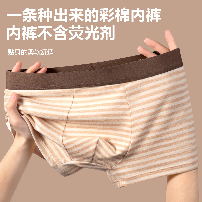 彩棉爆款男士内裤纯棉舒适透气底