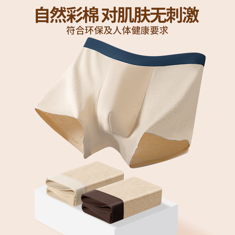 2025新款彩棉男士内裤纯棉中腰透