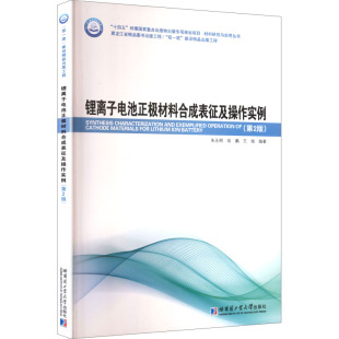 电工 电子 锂离子电池正极材料合成表征及操作实例 第2版