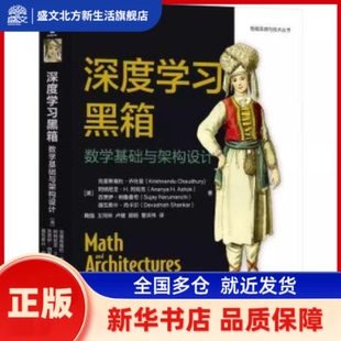 深度黑箱:数学基础与架构设计 (美)克里希南杜·乔杜里(Krishnendu Chaudhury)[等]著 机械工业出版社 新华书店正版