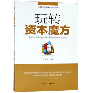 玩转资本魔方(新常态下湖南省国有产权管理经典案例选编)