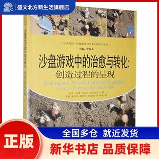 茹思·安曼 社有限公司 呈现 become visible processes 创造过程 creative 中国人民大学出版 沙盘游戏中 瑞士 治愈与转化