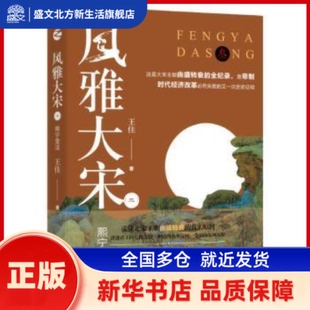风雅大宋(三)-熙宁变法 王佳 浙江人民出版社 新华书店正版