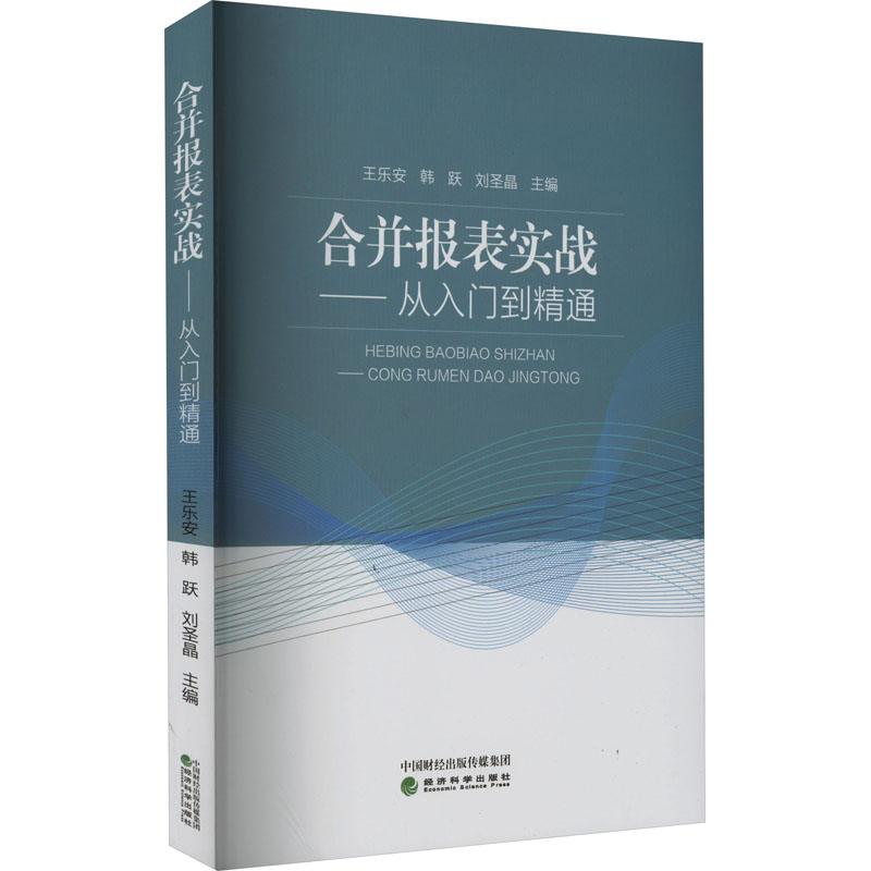 合并报表实战——从入门到精通王乐安,韩跃,刘圣晶编经济理论、法规经管、励志经济科学出版社图书