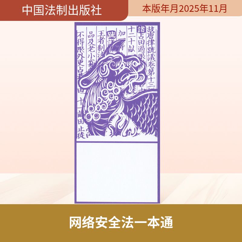 61.网络安全法一本通【第十版】法律工具书