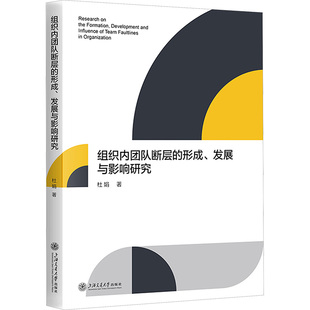 形成 组织内团队断层 发展与影响研究管理理论