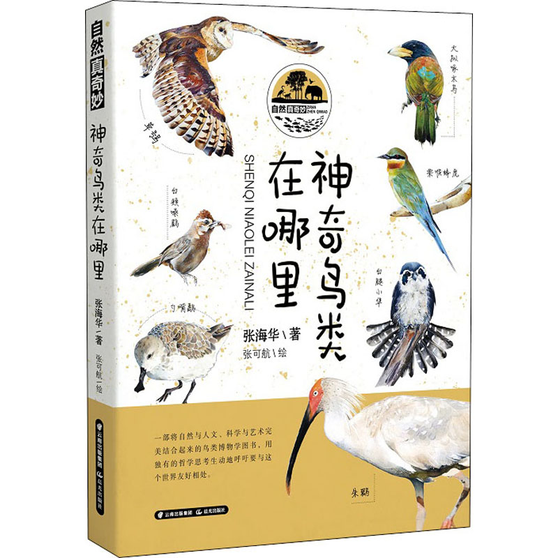 神奇鸟类在哪里 张海华 著 少儿科普 少儿 晨光出版社 图书