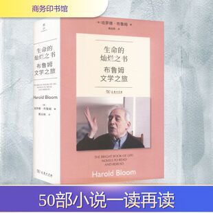 生命的灿烂之书:布鲁姆文学之旅外国现当代文学