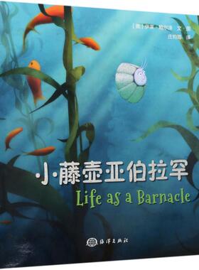小藤壶亚伯拉罕 (美)伊莱·鲍尔泽(Eli Balser) 文图；庄昀筠 译 儿童文学 少儿 中国海洋出版社 图书