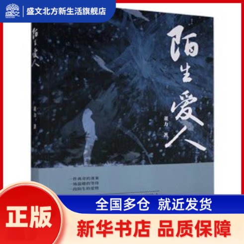 陌生爱人 董力 黑龙江北方文艺出版社有限公司 新华书店正版