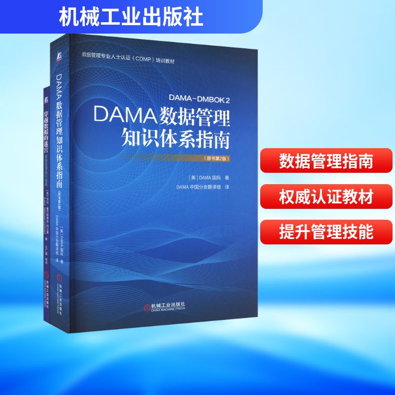 电商DAMA数据管理知识体系指南+穿越数据的迷宫(全2册)管理实务