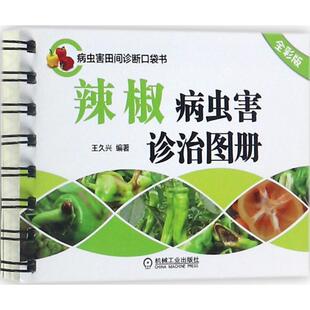 专业科技 图书 王久兴 9787111568100 社 机械工业出版 种植业 著 编著 全彩版 辣椒病虫害诊治图册